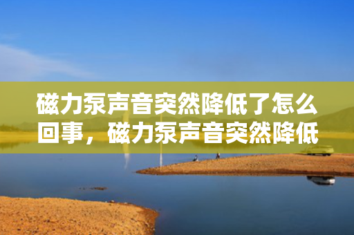 磁力泵声音突然降低了怎么回事，磁力泵声音突然降低的可能原因及解决方法