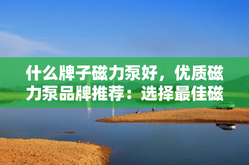 什么牌子磁力泵好，优质磁力泵品牌推荐：选择最佳磁力泵的关键指南