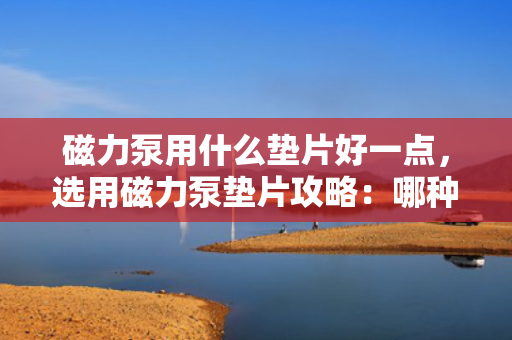磁力泵用什么垫片好一点，选用磁力泵垫片攻略：哪种材质更优?。? title=