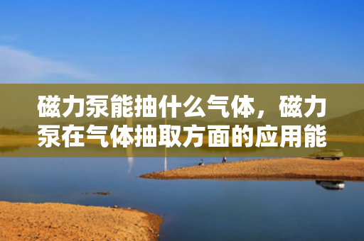 磁力泵能抽什么气体，磁力泵在气体抽取方面的应用能力及限制解析