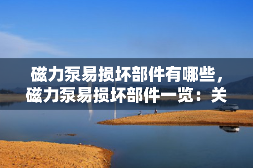 磁力泵易损坏部件有哪些，磁力泵易损坏部件一览：关键组件与维护要点解析