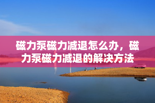 磁力泵磁力减退怎么办，磁力泵磁力减退的解决方法