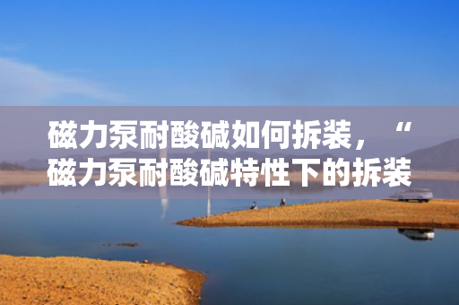 磁力泵耐酸碱如何拆装，“磁力泵耐酸碱特性下的拆装指南”