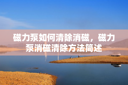 磁力泵如何清除消磁，磁力泵消磁清除方法简述
