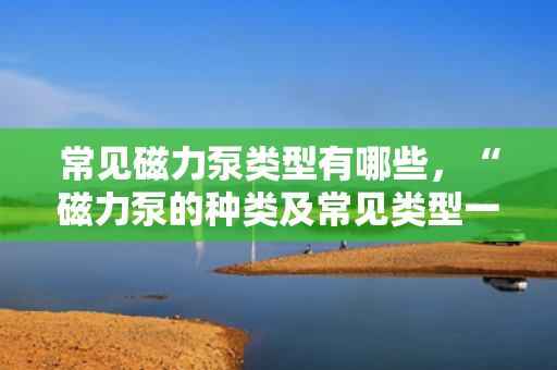 常见磁力泵类型有哪些，“磁力泵的种类及常见类型一览”