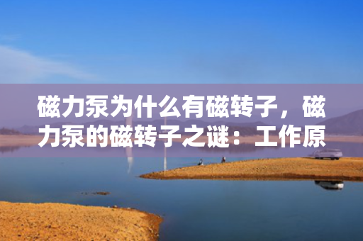 磁力泵为什么有磁转子，磁力泵的磁转子之谜：工作原理与核心构造解析