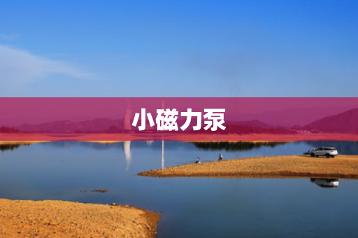 小磁力泵