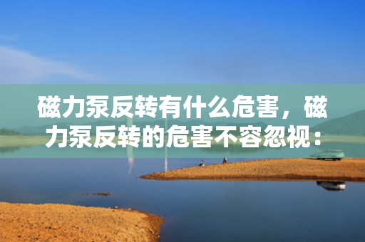 磁力泵反转有什么危害，磁力泵反转的危害不容忽视：性能受损与潜在安全隐患