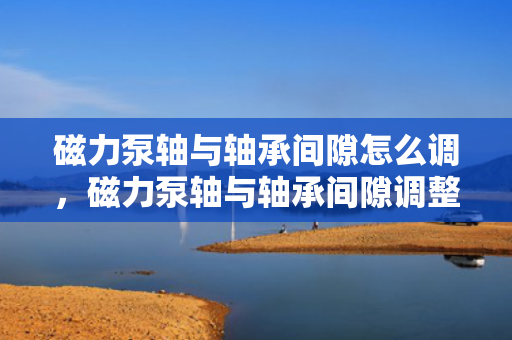 磁力泵轴与轴承间隙怎么调，磁力泵轴与轴承间隙调整方法简述