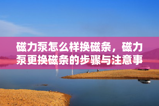 磁力泵怎么样换磁条，磁力泵更换磁条的步骤与注意事项