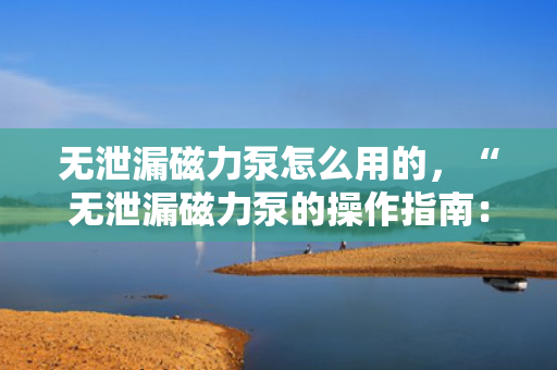 无泄漏磁力泵怎么用的，“无泄漏磁力泵的操作指南：简单易懂的使用方法”