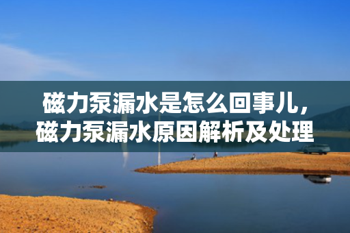 磁力泵漏水是怎么回事儿，磁力泵漏水原因解析及处理方法