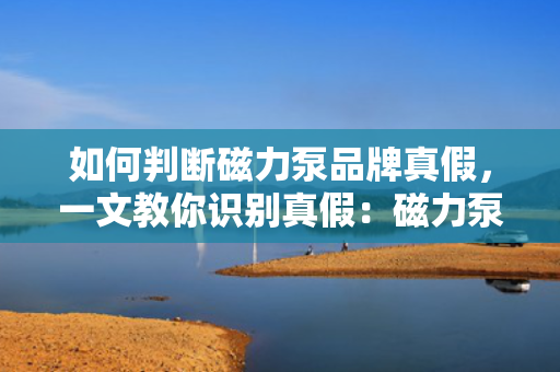 如何判断磁力泵品牌真假，一文教你识别真假：磁力泵品牌鉴别方法大揭秘