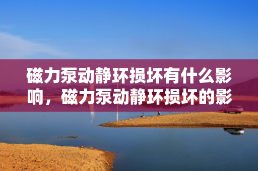 磁力泵动静环损坏有什么影响，磁力泵动静环损坏的影响分析