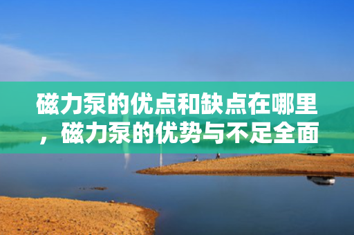 磁力泵的优点和缺点在哪里，磁力泵的优势与不足全面解析