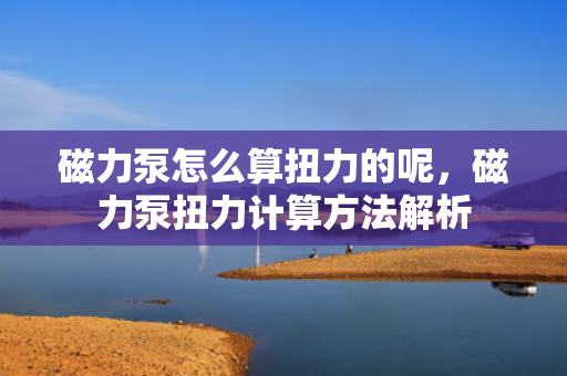 磁力泵怎么算扭力的呢，磁力泵扭力计算方法解析