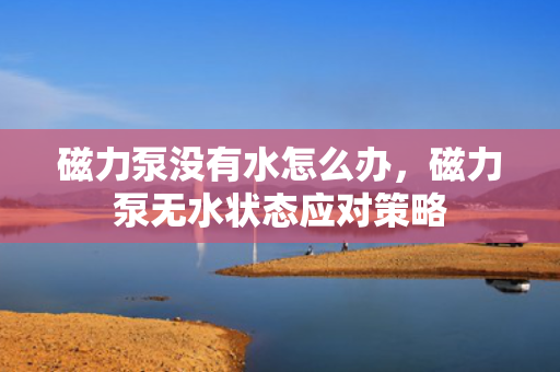 磁力泵没有水怎么办，磁力泵无水状态应对策略