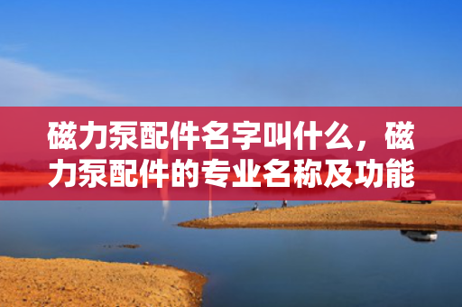 磁力泵配件名字叫什么，磁力泵配件的专业名称及功能简介