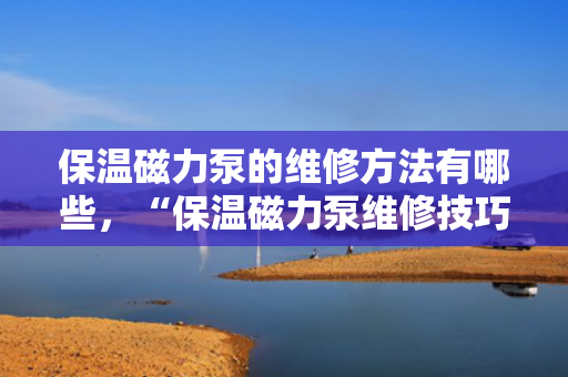 保温磁力泵的维修方法有哪些，“保温磁力泵维修技巧全解析”