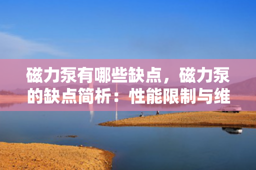 磁力泵有哪些缺点，磁力泵的缺点简析：性能限制与维护挑战