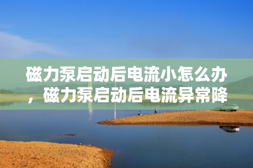 磁力泵启动后电流小怎么办，磁力泵启动后电流异常降低的解决方法