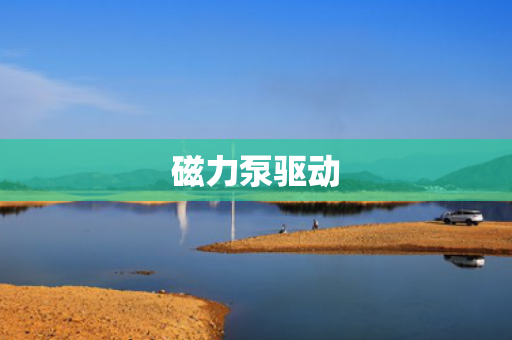 磁力泵驱动
