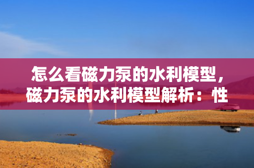 怎么看磁力泵的水利模型，磁力泵的水利模型解析：性能、效率与选型关键