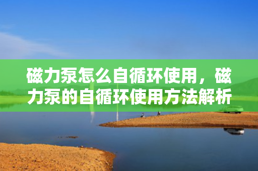 磁力泵怎么自循环使用，磁力泵的自循环使用方法解析