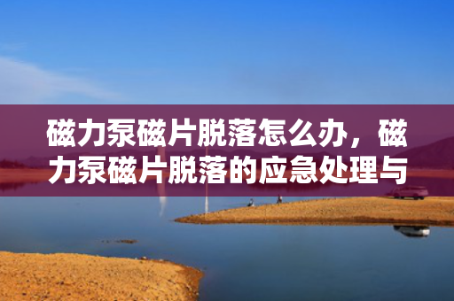 磁力泵磁片脱落怎么办，磁力泵磁片脱落的应急处理与解决方案