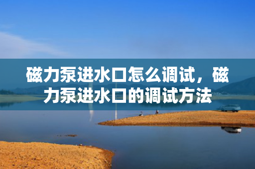 磁力泵进水口怎么调试，磁力泵进水口的调试方法
