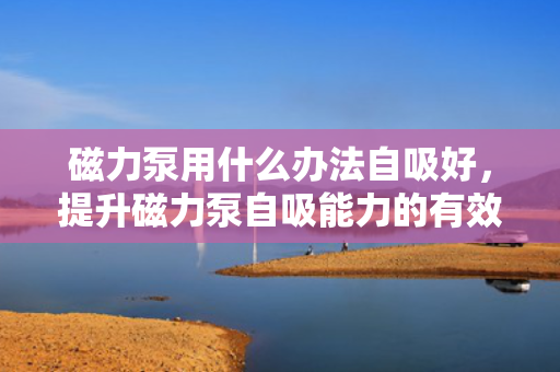 磁力泵用什么办法自吸好，提升磁力泵自吸能力的有效方法