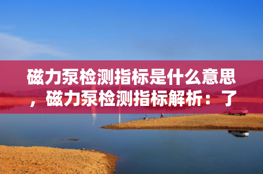 磁力泵检测指标是什么意思，磁力泵检测指标解析：了解评估磁力泵性能的关键参数