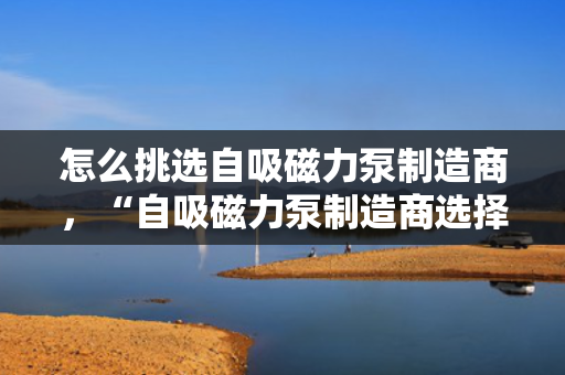 怎么挑选自吸磁力泵制造商，“自吸磁力泵制造商选择指南：关键要素与实用技巧”