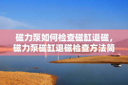 磁力泵如何检查磁缸退磁，磁力泵磁缸退磁检查方法简述