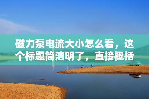 磁力泵电流大小怎么看，这个标题简洁明了，直接概括了您想要表达的内容，希望符合您的要求。