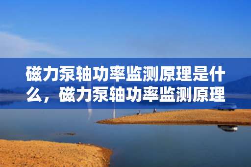 磁力泵轴功率监测原理是什么，磁力泵轴功率监测原理简析