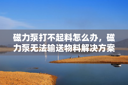磁力泵打不起料怎么办，磁力泵无法输送物料解决方案