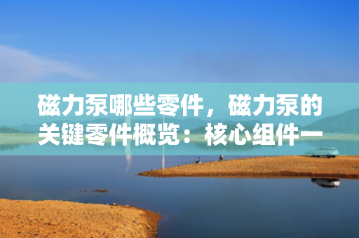 磁力泵哪些零件，磁力泵的关键零件概览：核心组件一览无余