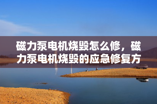 磁力泵电机烧毁怎么修，磁力泵电机烧毁的应急修复方法