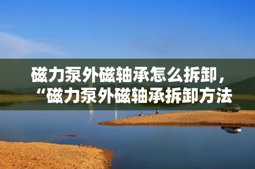 磁力泵外磁轴承怎么拆卸，“磁力泵外磁轴承拆卸方法指南”