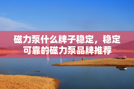 磁力泵什么牌子稳定，稳定可靠的磁力泵品牌推荐