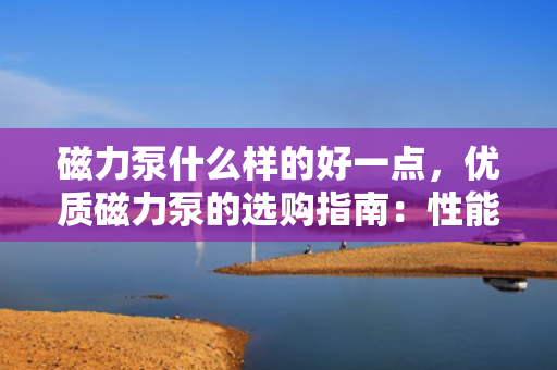 磁力泵什么样的好一点，优质磁力泵的选购指南：性能、材质与品牌的关键考量