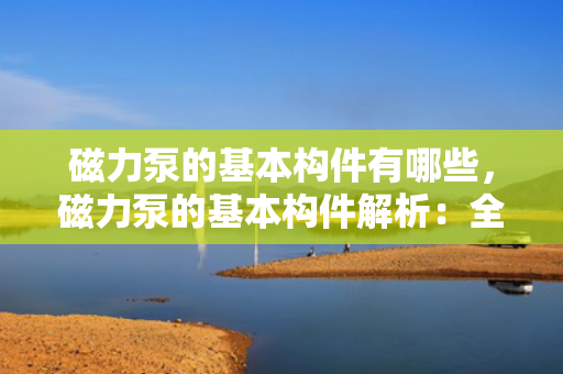 磁力泵的基本构件有哪些，磁力泵的基本构件解析：全面了解其核心组件