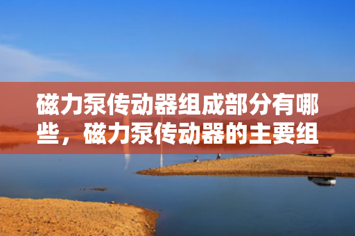 磁力泵传动器组成部分有哪些，磁力泵传动器的主要组成部分概览