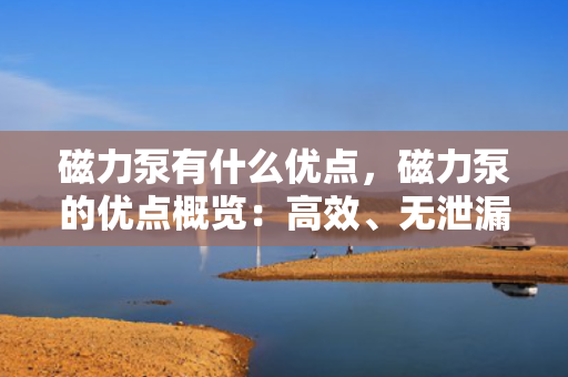 磁力泵有什么优点，磁力泵的优点概览：高效、无泄漏、安全可靠的流体传输解决方案