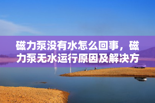 磁力泵没有水怎么回事，磁力泵无水运行原因及解决方法