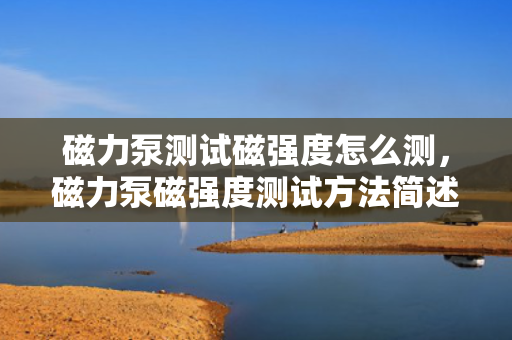 磁力泵测试磁强度怎么测，磁力泵磁强度测试方法简述