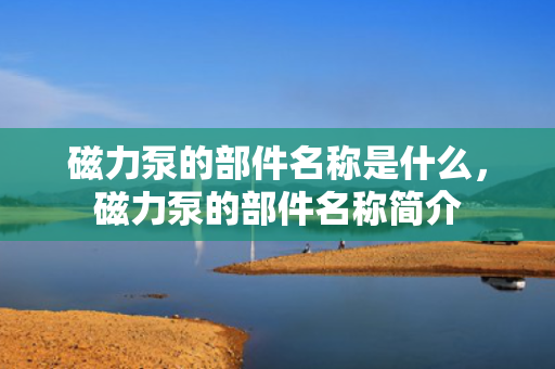 磁力泵的部件名称是什么，磁力泵的部件名称简介