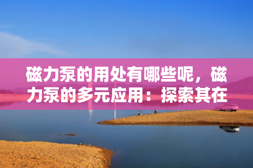磁力泵的用处有哪些呢，磁力泵的多元应用：探索其在各领域的实用价值