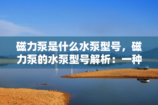 磁力泵是什么水泵型号，磁力泵的水泵型号解析：一种独特的无泄漏密封水泵